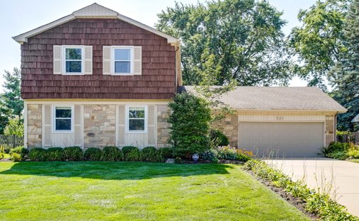 House in Buffalo Grove, Illinois, United States 1