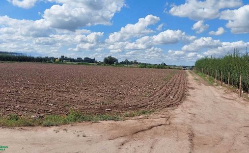Land in Maipú, Mendoza Province, Argentina 1