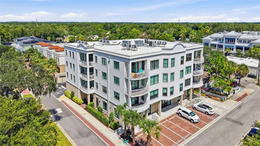 Condo in Safety Harbor, Florida, United States 5 - 18705575
