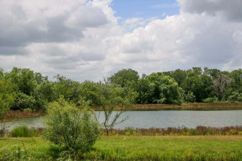 House in Floresville, Texas, United States 4 - 18703502