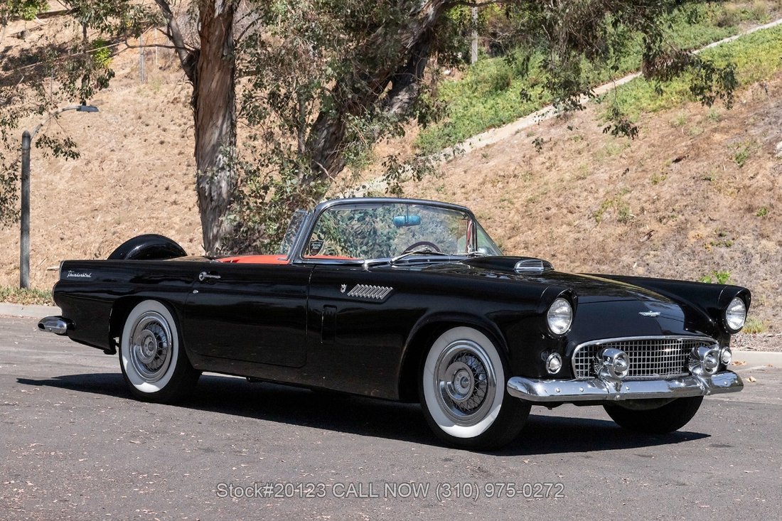 Ford Thunderbird in Los Angeles, CA 3 - 18703947