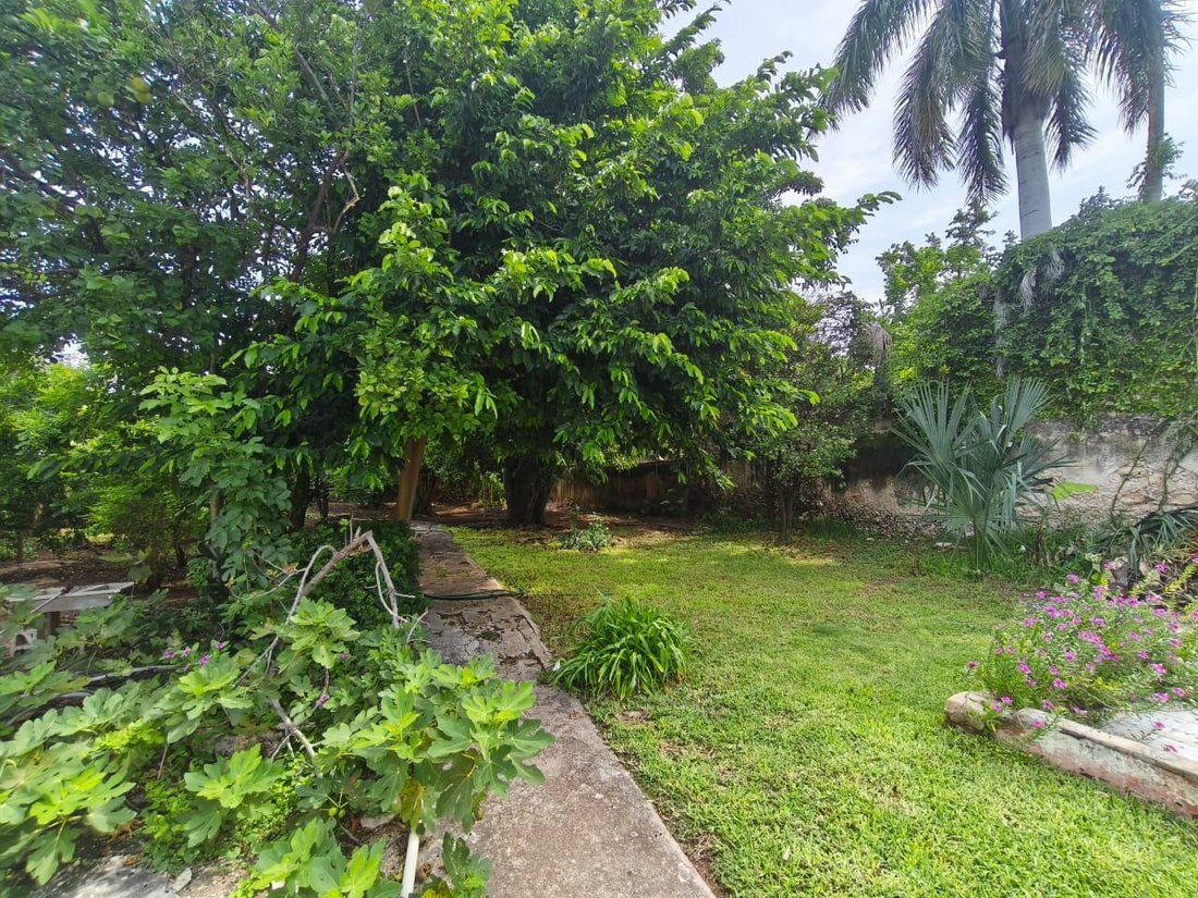 House in Mérida, Yucatan, Mexico 5 - 18710697