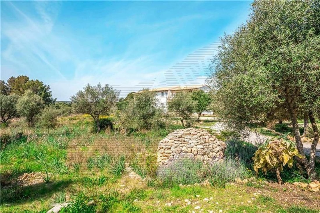 Villa in Marratxi, Balearic Islands, Spain 2 - 18706497