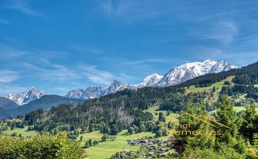 Land in Demi-Quartier, Auvergne-Rhône-Alpes, France 1