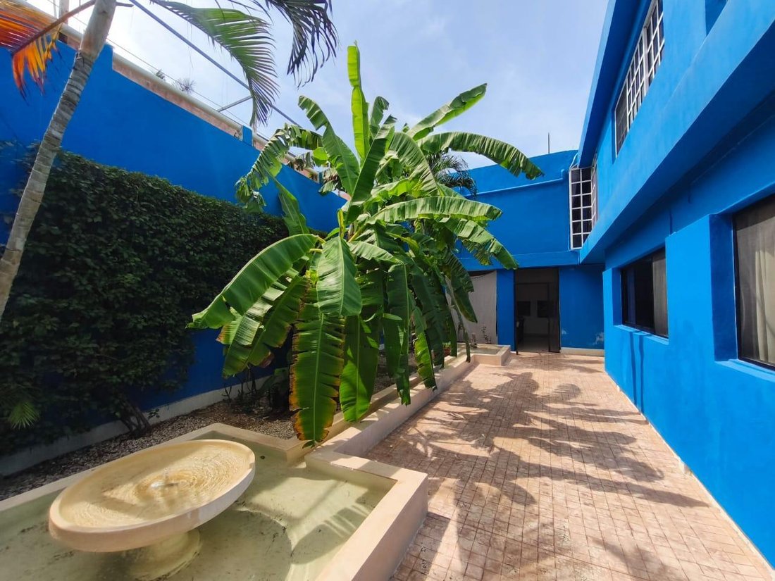 House in Mérida, Yucatan, Mexico 3 - 18710697