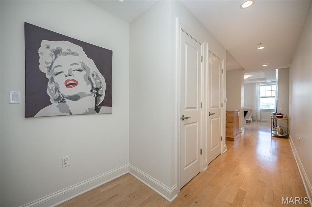 Condo in St. Louis, Missouri, United States 3 - 18705478