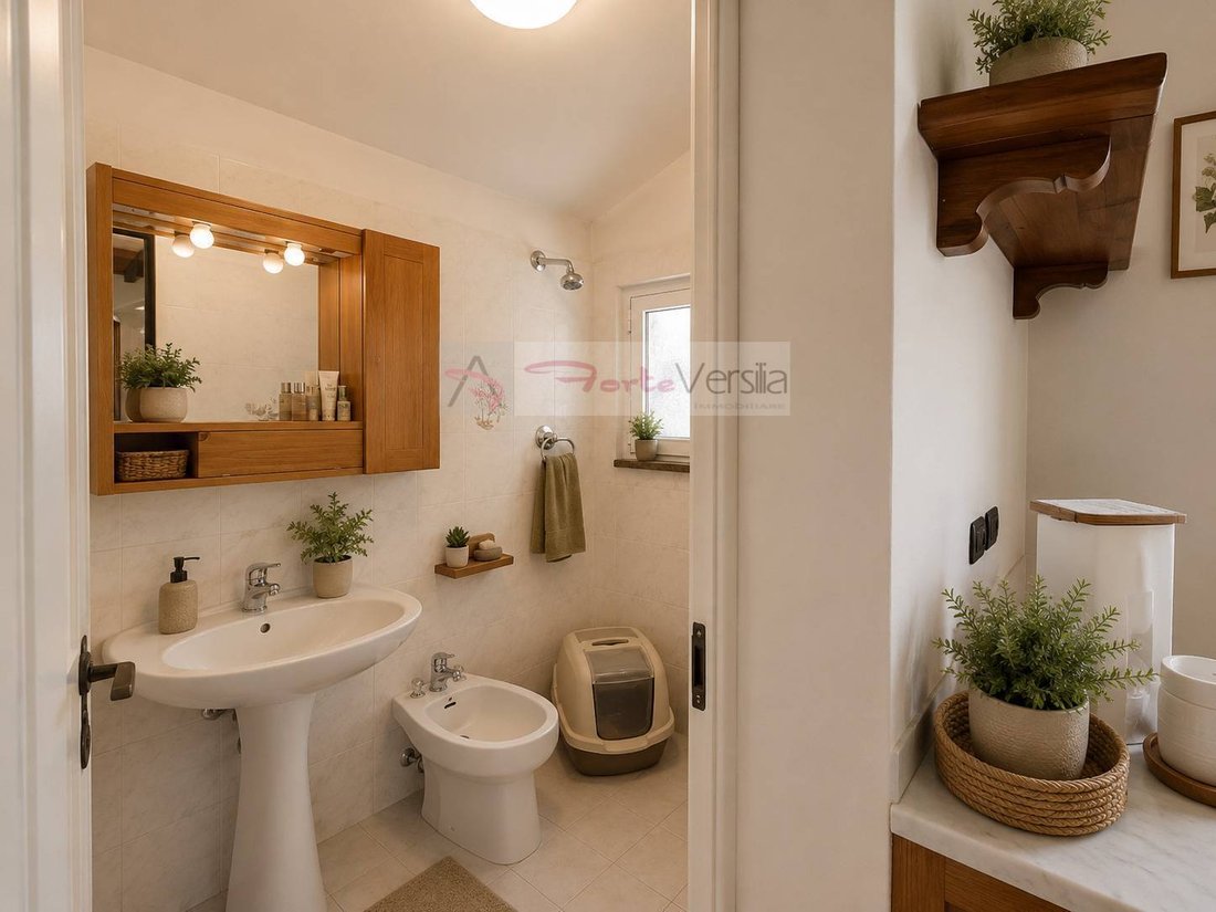 Villa in Strettoia-Capezzano-Valdicastello, Pietrasanta, Tuscany 5 - 18708011