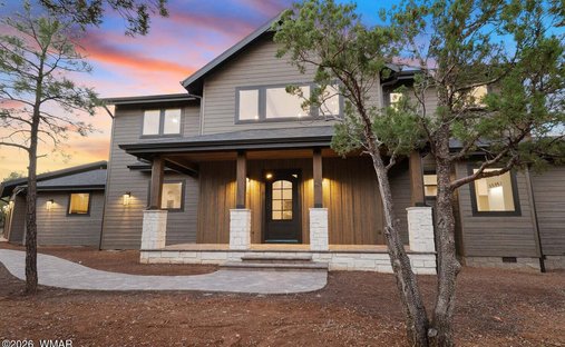 House in Show Low, Arizona, United States 1