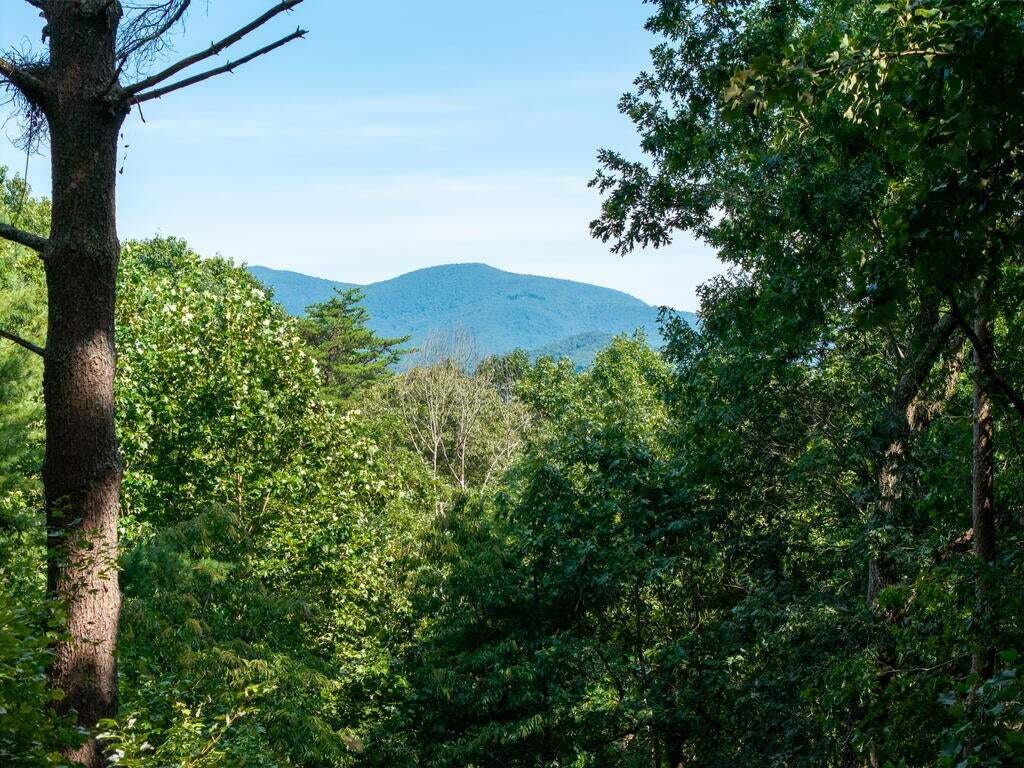 House in Ellijay, Georgia, United States 3 - 18705329