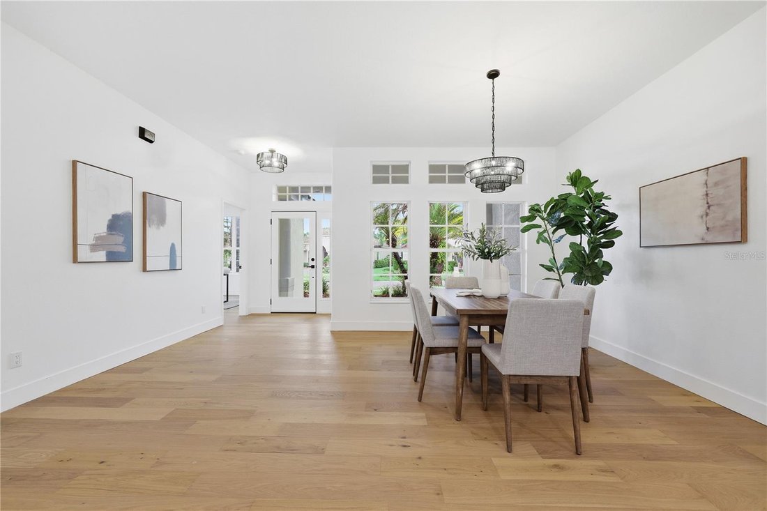 House in Tampa, Florida, United States 5 - 18705650
