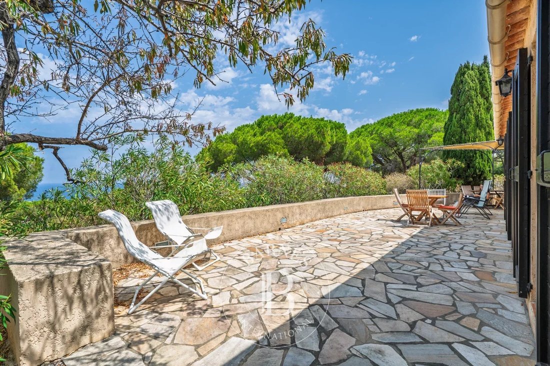 Villa in Corbara, Corsica, France 3 - 18559737