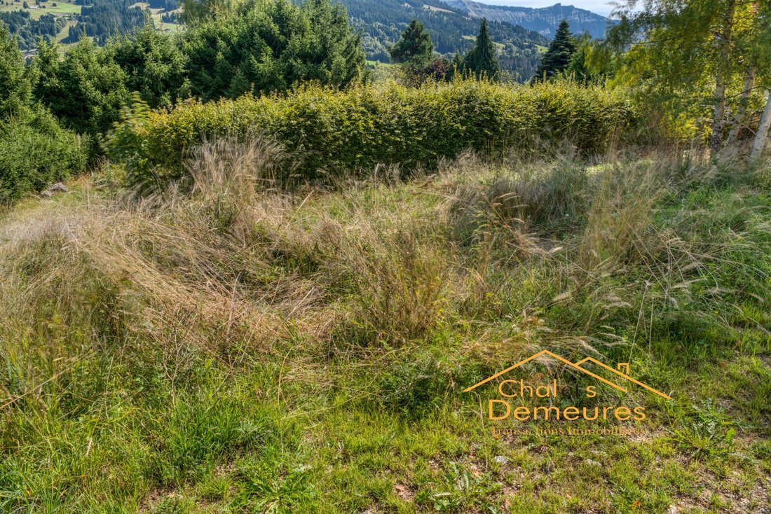 Land in Demi-Quartier, Auvergne-Rhône-Alpes, France 2 - 18712770