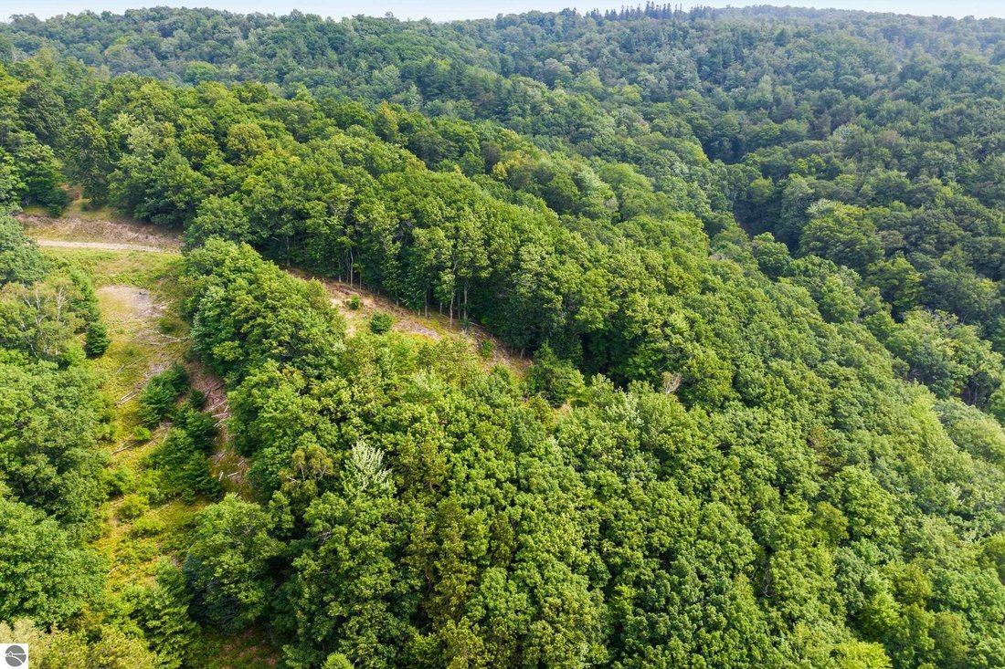 Land in Frankfort, Michigan, United States 4 - 18710612
