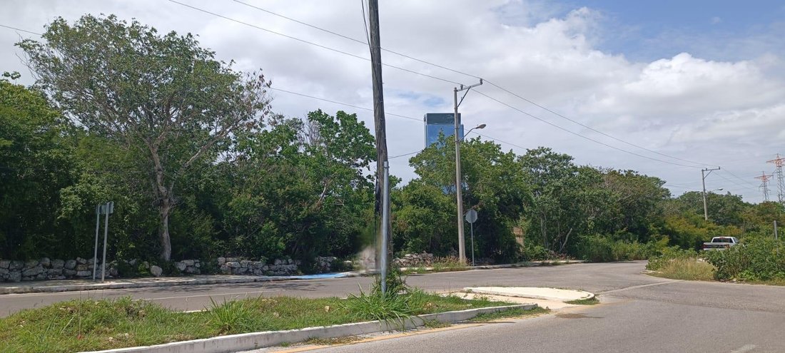 Land in Mérida, Yucatán, Mexiko 4 - 18626015