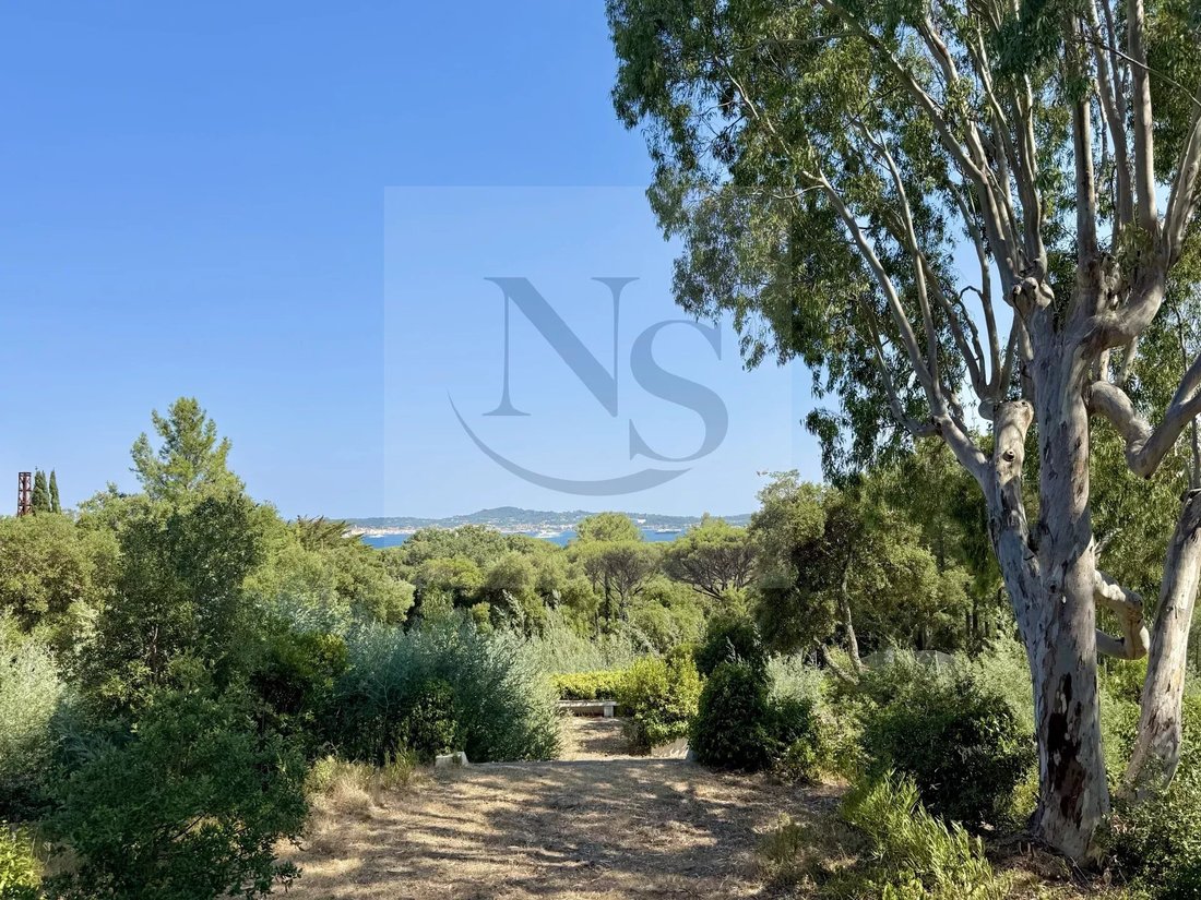 Villa in Grimaud, Provence-Alpes-Côte d'Azur, France 3 - 18714112