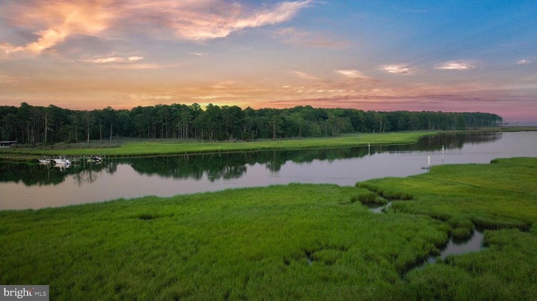 House in Lewes, Delaware, United States 3 - 18712530