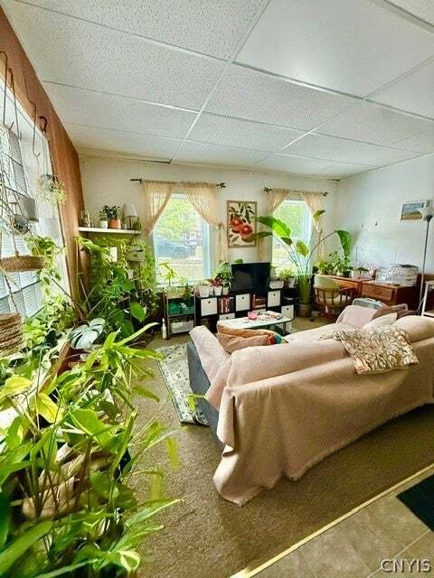 Andere in Syracuse, New York, Vereinigte Staaten 4 - 18709965