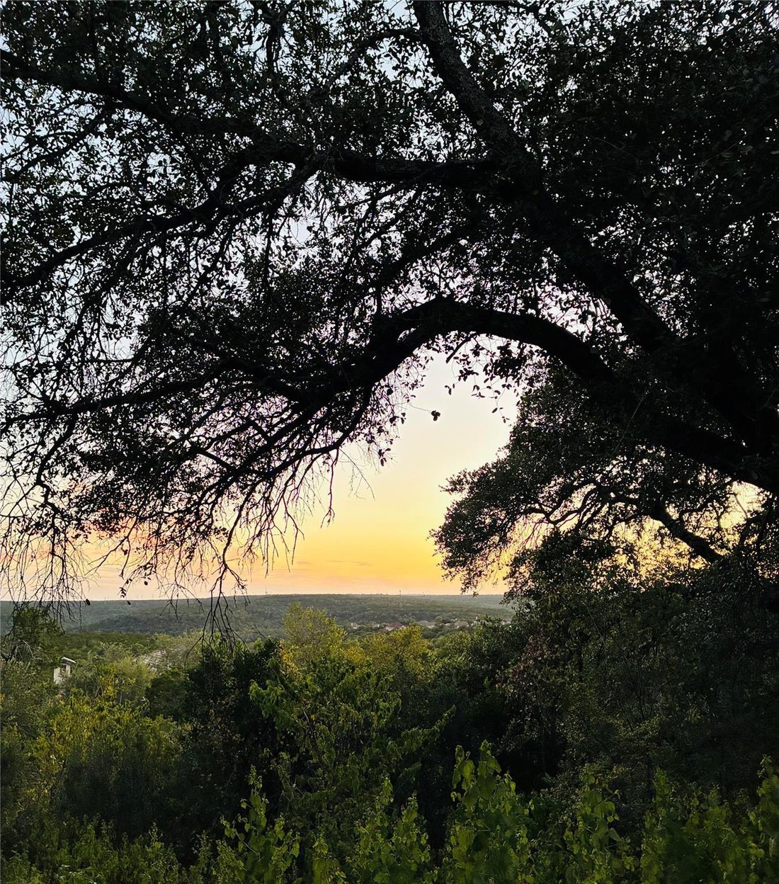 House in Austin, Texas, United States 1 - 18710091