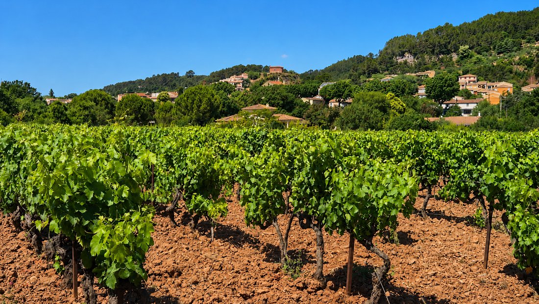 House in Pignans, Provence-Alpes-Côte d'Azur, France 5 - 18713383