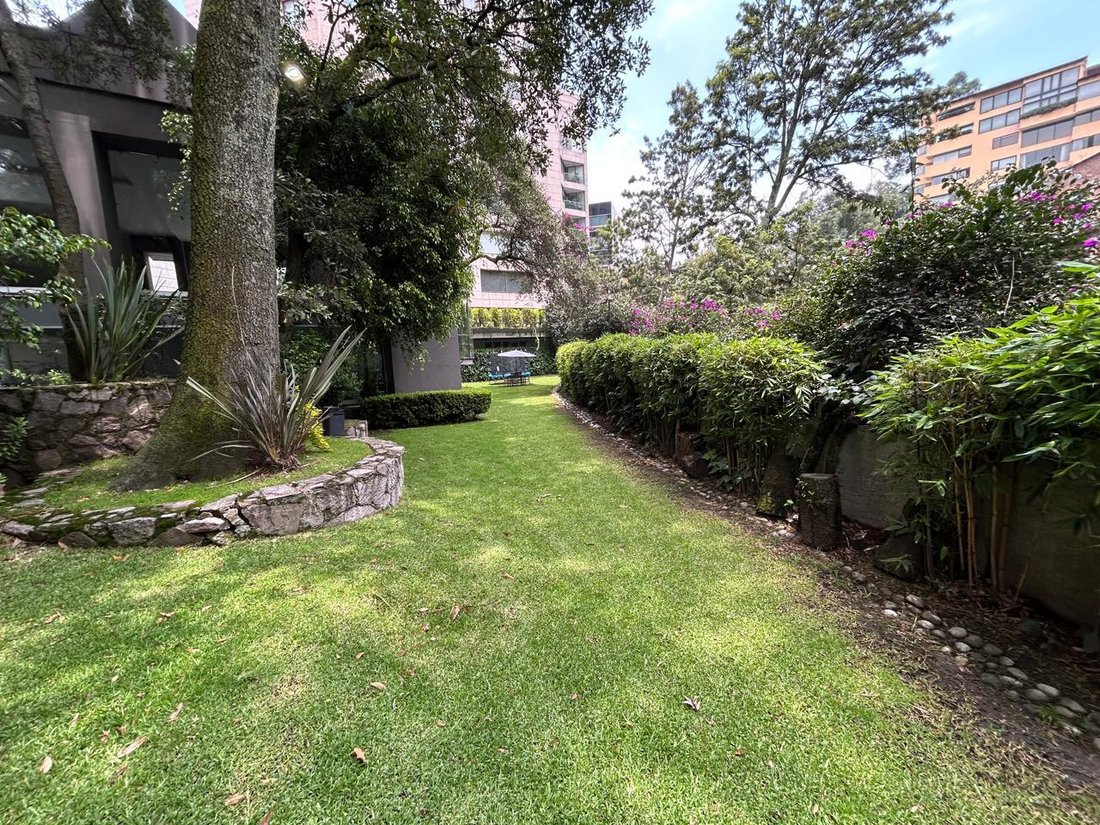 Apartment in Mexico City, Mexico 1 - 18704426