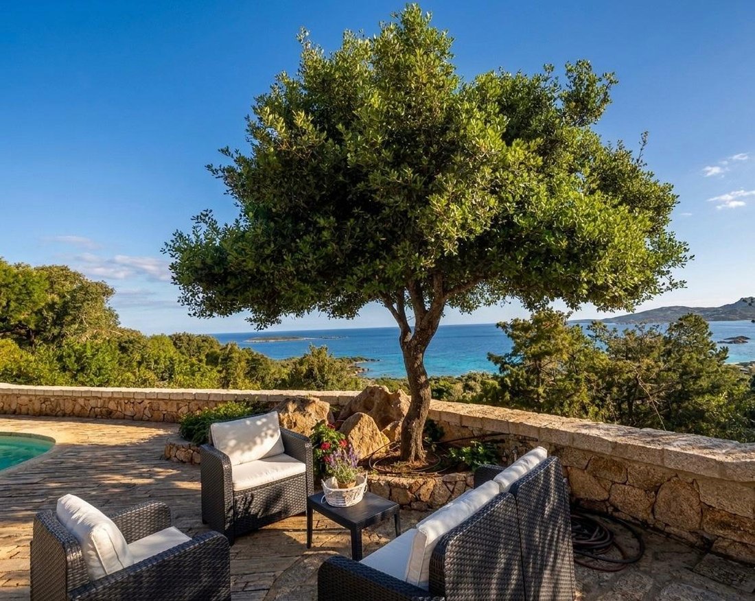 Villa in Arzachena, Sardinia, Italy 5 - 18713680