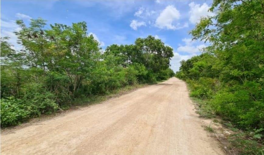 Terrain à El Paraíso, Yucatán, Mexique 1 - 18715215