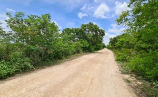 Terrain à El Paraíso, Yucatán, Mexique 1