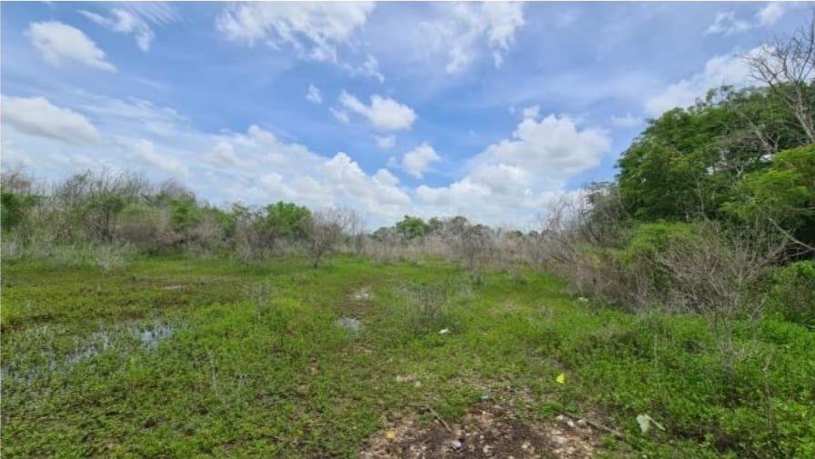 Terrain à El Paraíso, Yucatán, Mexique 2 - 18715215