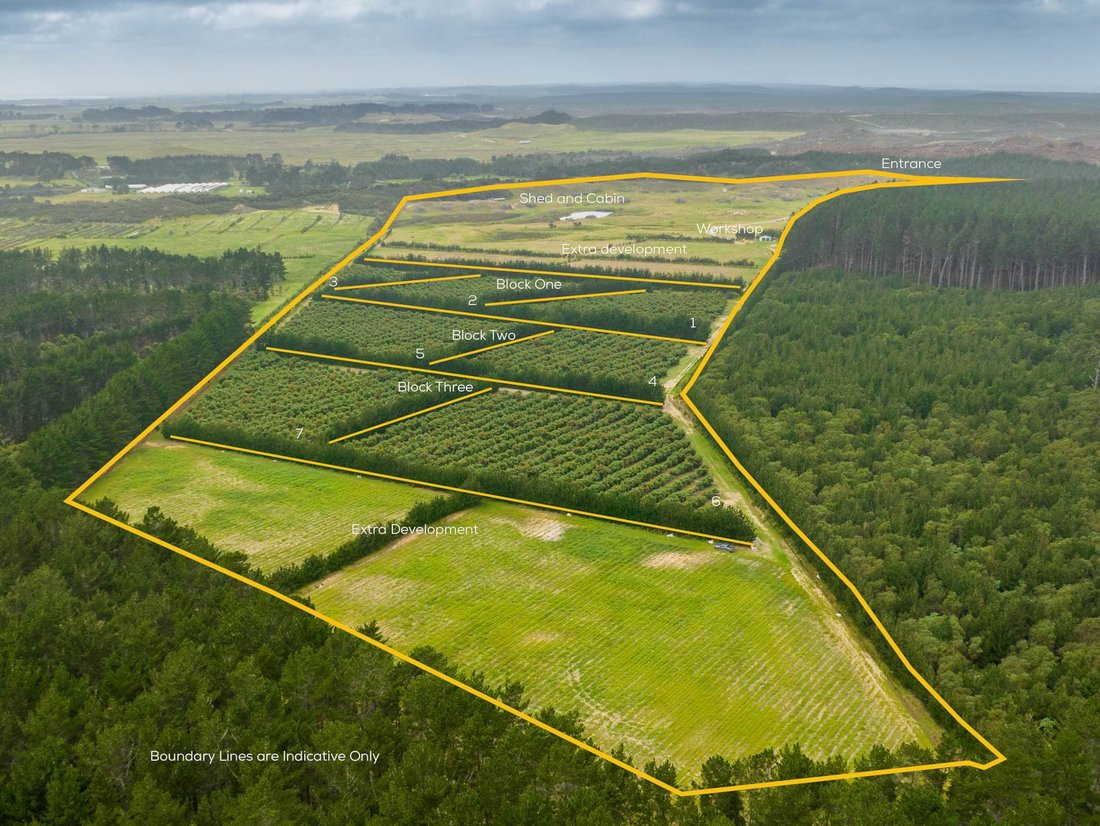 Land in Ngataki, Northland, New Zealand 2 - 18715245