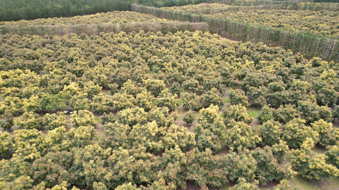 Land in Ngataki, Northland, New Zealand 5 - 18715245