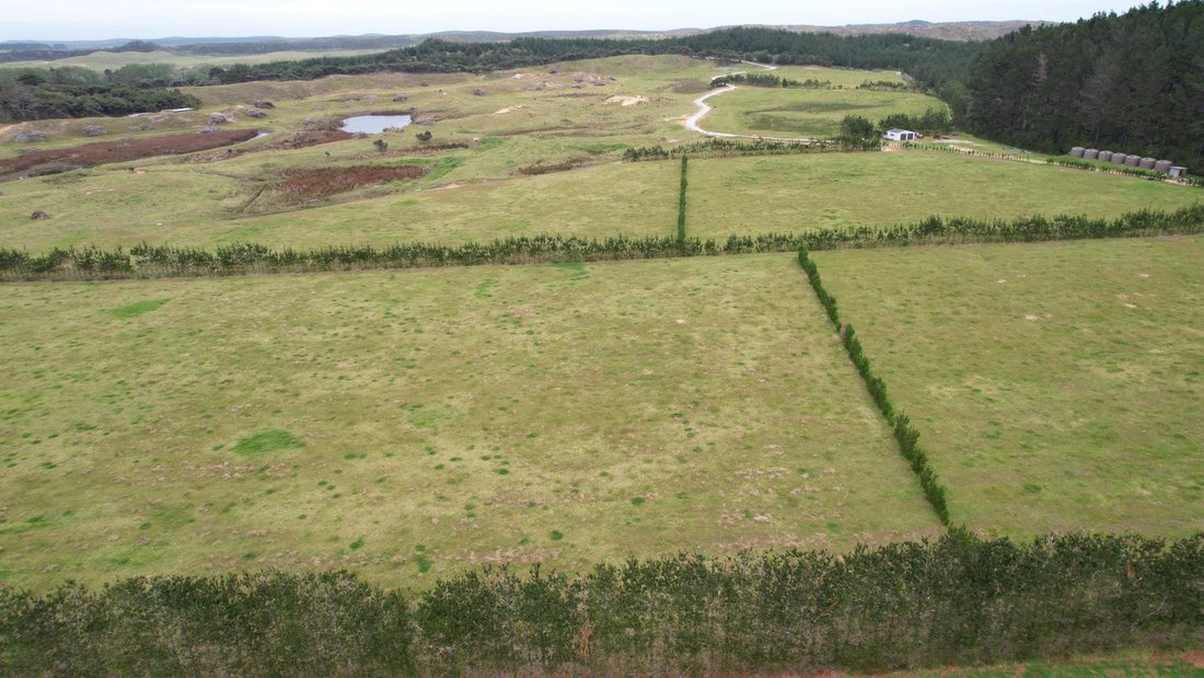 Land in Ngataki, Northland, New Zealand 4 - 18715245