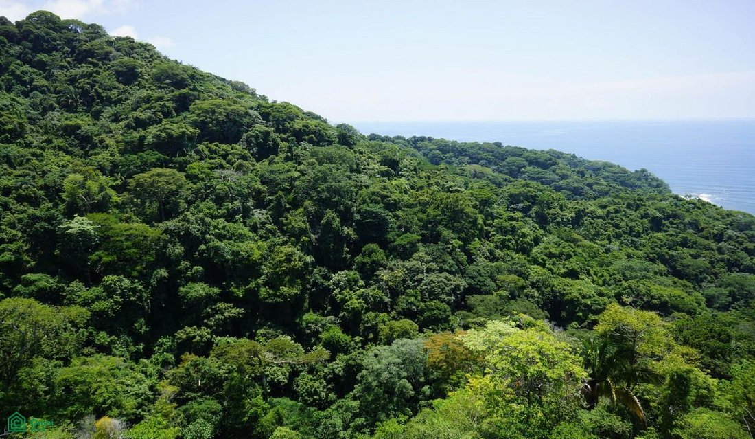 Terreno en Herradura, Provincia de Puntarenas, Costa Rica 2 - 17811355