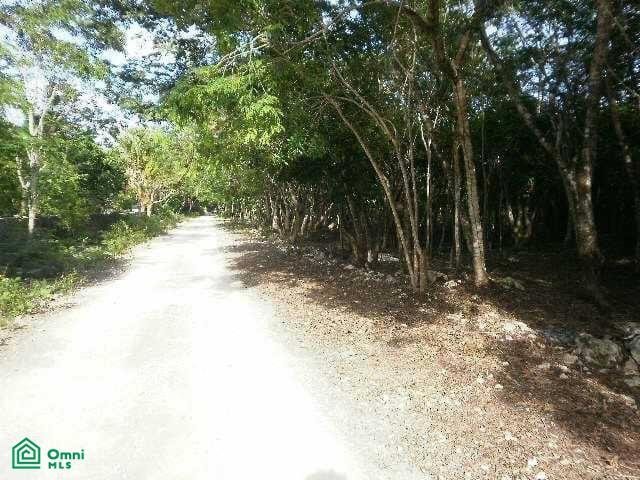 Terrain en Los Laureles, Quintana Roo, Mexique 1 - 17810977