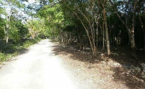 Terrain à Los Laureles, Quintana Roo, Mexique 1