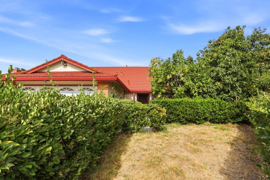 House in San Jose, California, United States 3 - 18715512