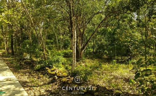 Land in San Mateo, Guanacaste Province, Costa Rica 1