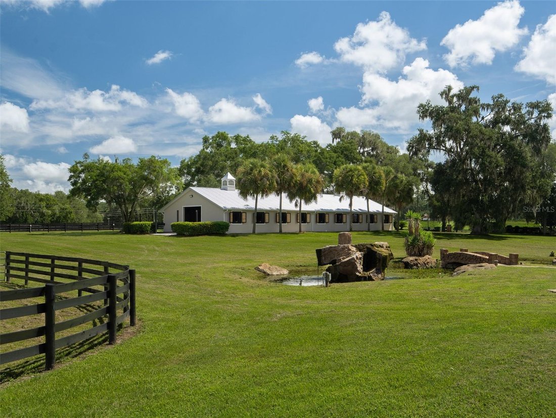 Farm Ranch in Ocala, Florida, United States 1 - 18715595