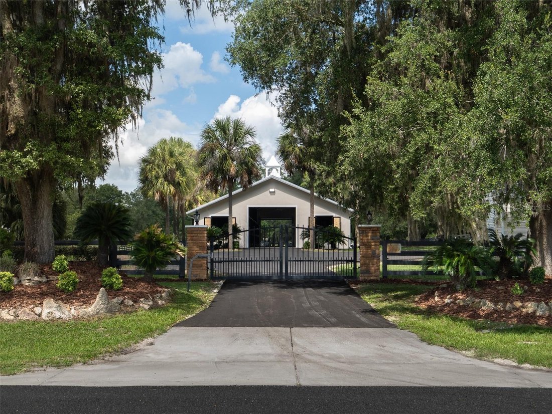 Farm Ranch in Ocala, Florida, United States 3 - 18715595