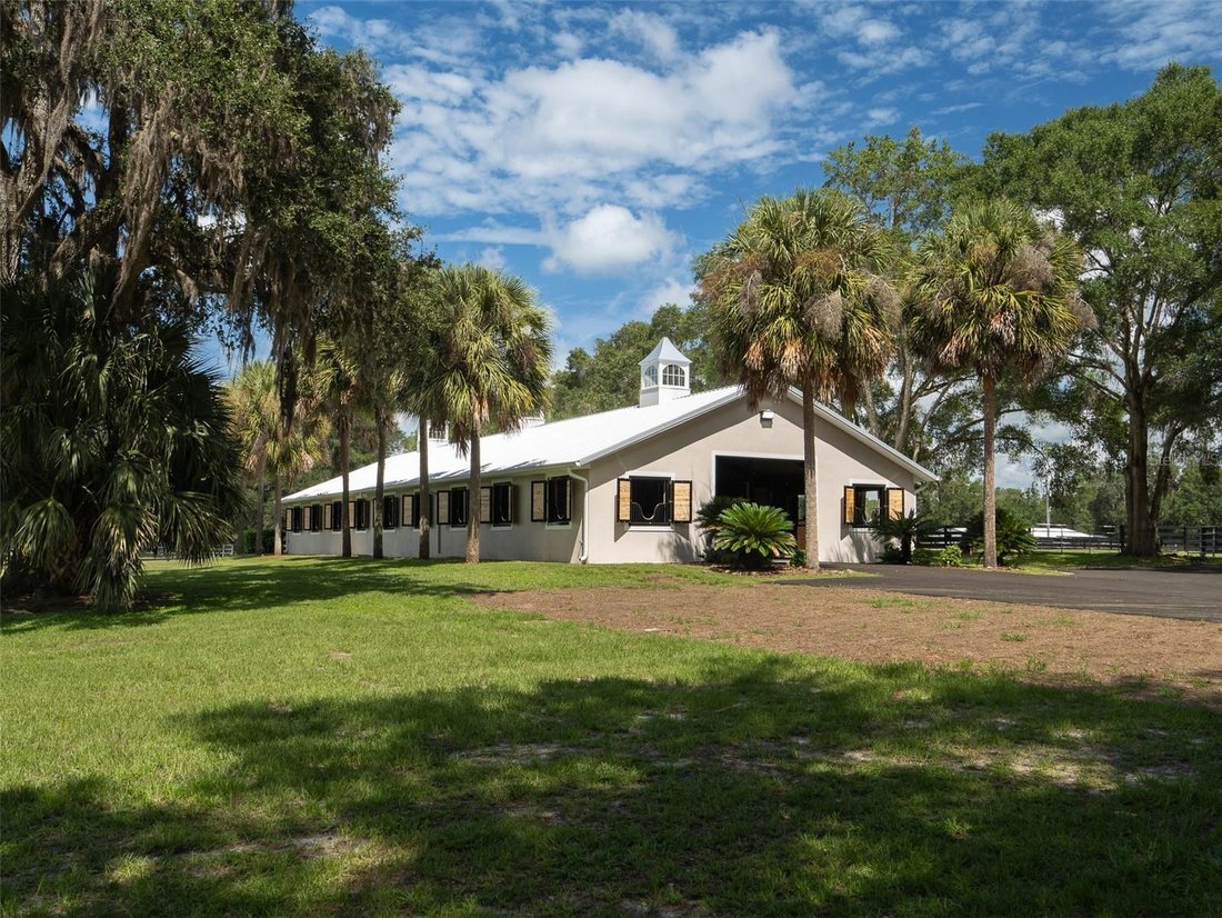 Farm Ranch in Ocala, Florida, United States 5 - 18715595