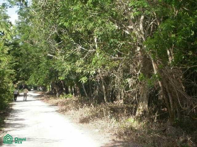 Terrain en Los Laureles, Quintana Roo, Mexique 5 - 17810977