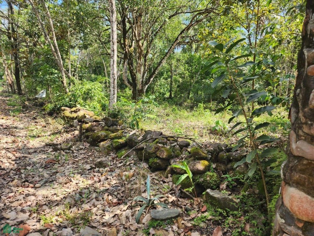 Terreno en San Mateo, Provincia de Guanacaste, Costa Rica 3 - 17804216