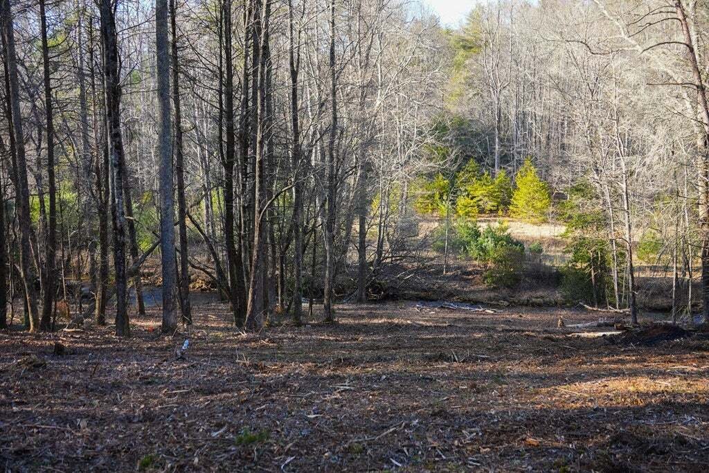 Casa en Cherry Log, Georgia, Estados Unidos 4 - 18715375
