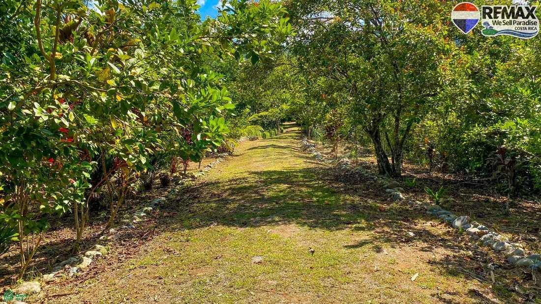 House in Balsar, Puntarenas Province, Costa Rica 5 - 18332694