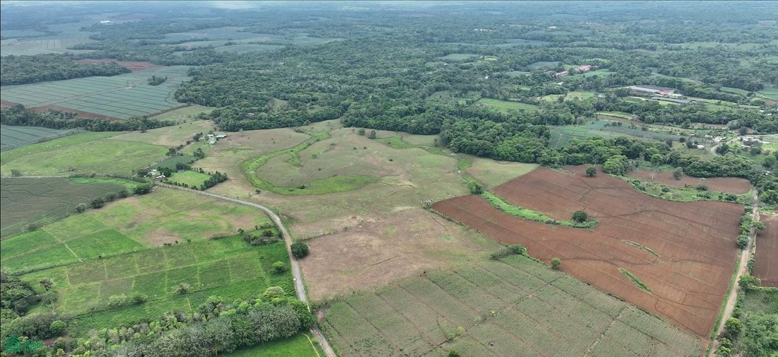Land in Grecia, Provinz Guanacaste, Costa Rica 2 - 18433874