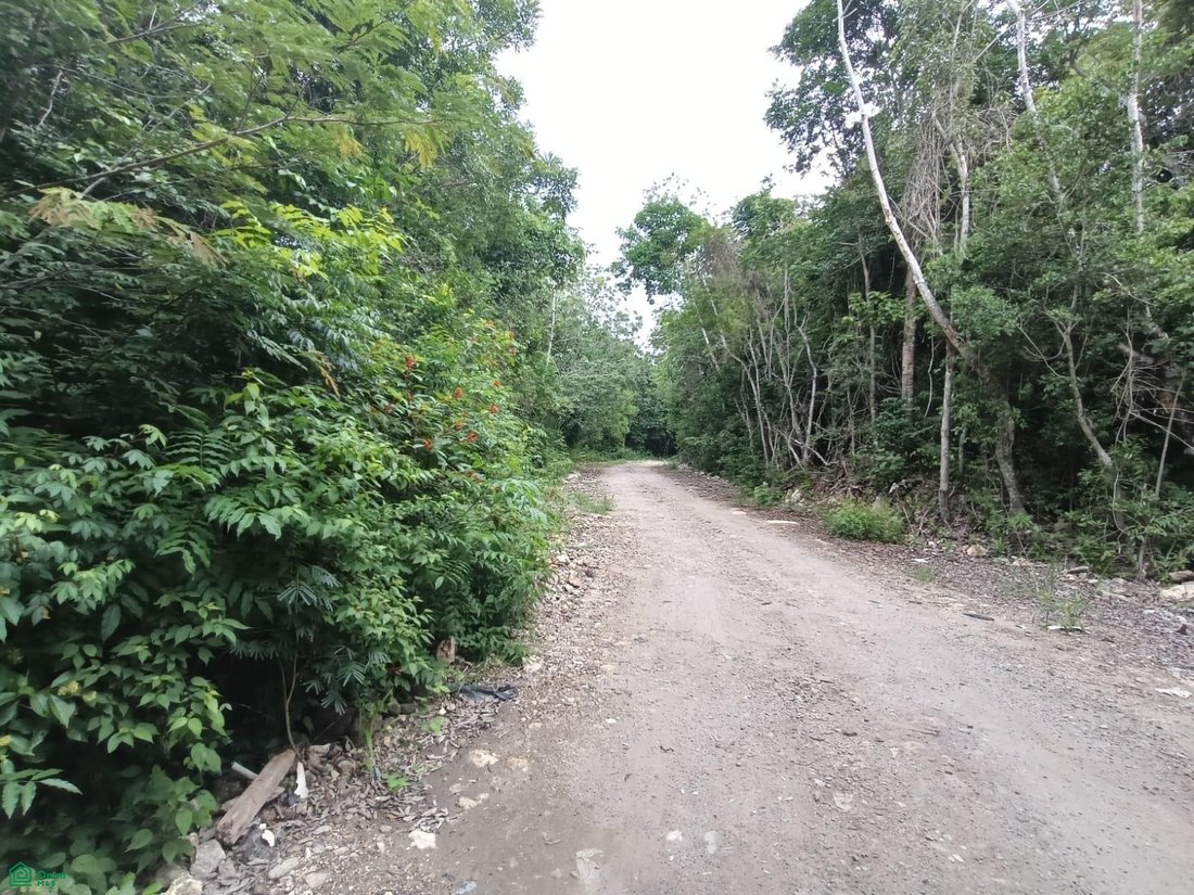 Terreno en Rancho Viejo, Quintana Roo, México 2 - 18243921