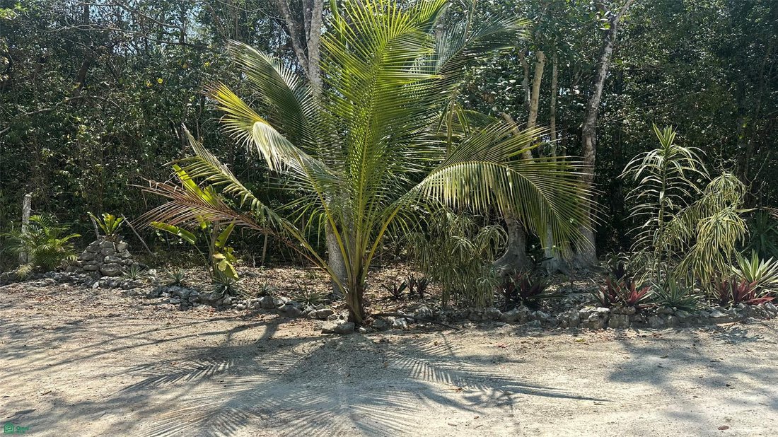 Terreno en Rancho Viejo, Quintana Roo, México 4 - 18243921