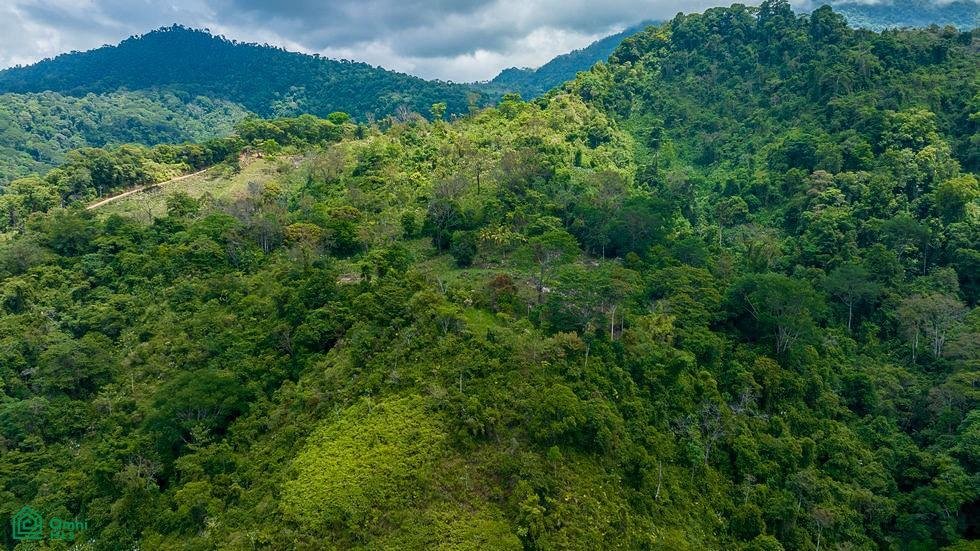 Land in Savegre de Aguirre, Provinz Puntarenas, Costa Rica 3 - 17804563