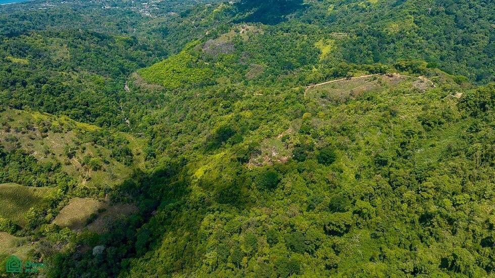 Land in Savegre de Aguirre, Provinz Puntarenas, Costa Rica 2 - 17804563