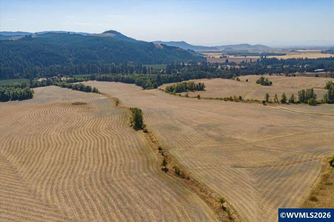 Terrain à Brownsville, Oregon, États-Unis 1 - 18718037