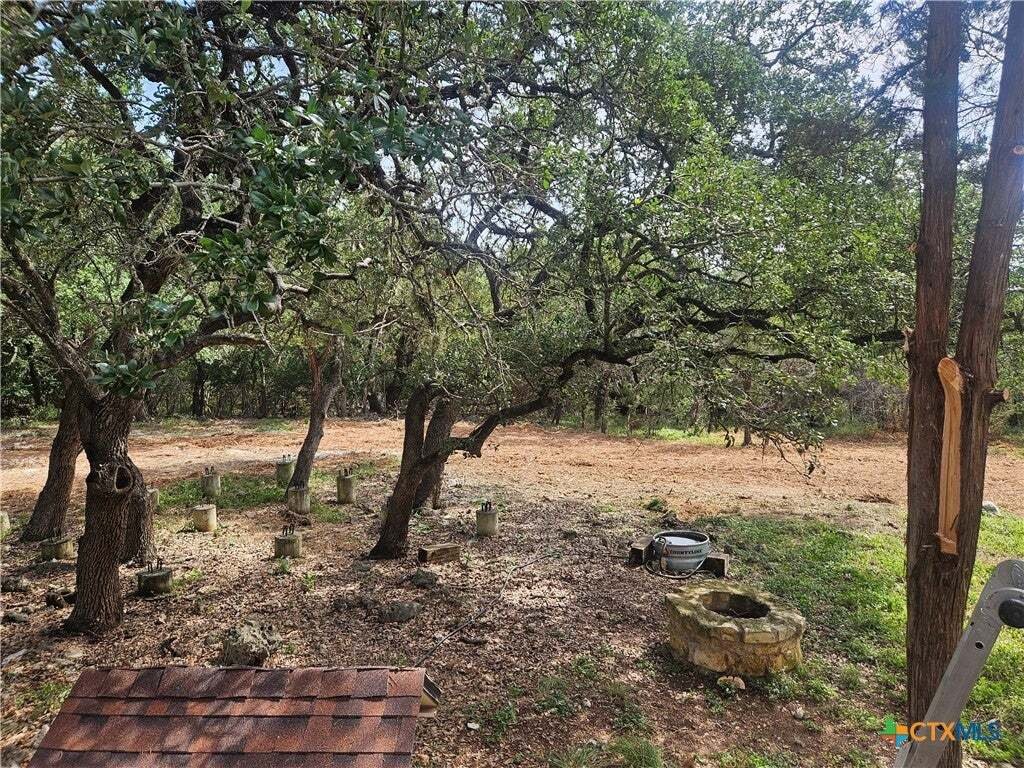 House in New Braunfels, Texas, United States 3 - 18718191